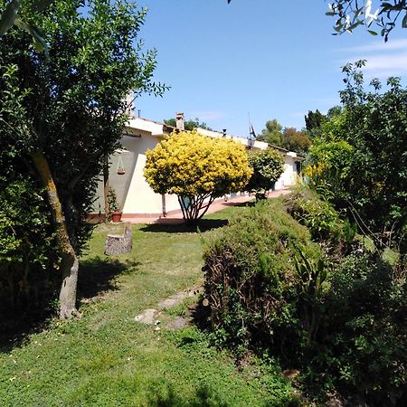 Agriturismo Le Colline Di Capalbio Eksteriør bilde