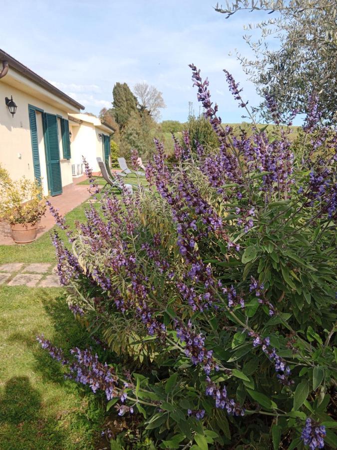 Agriturismo Le Colline Di Capalbio Eksteriør bilde