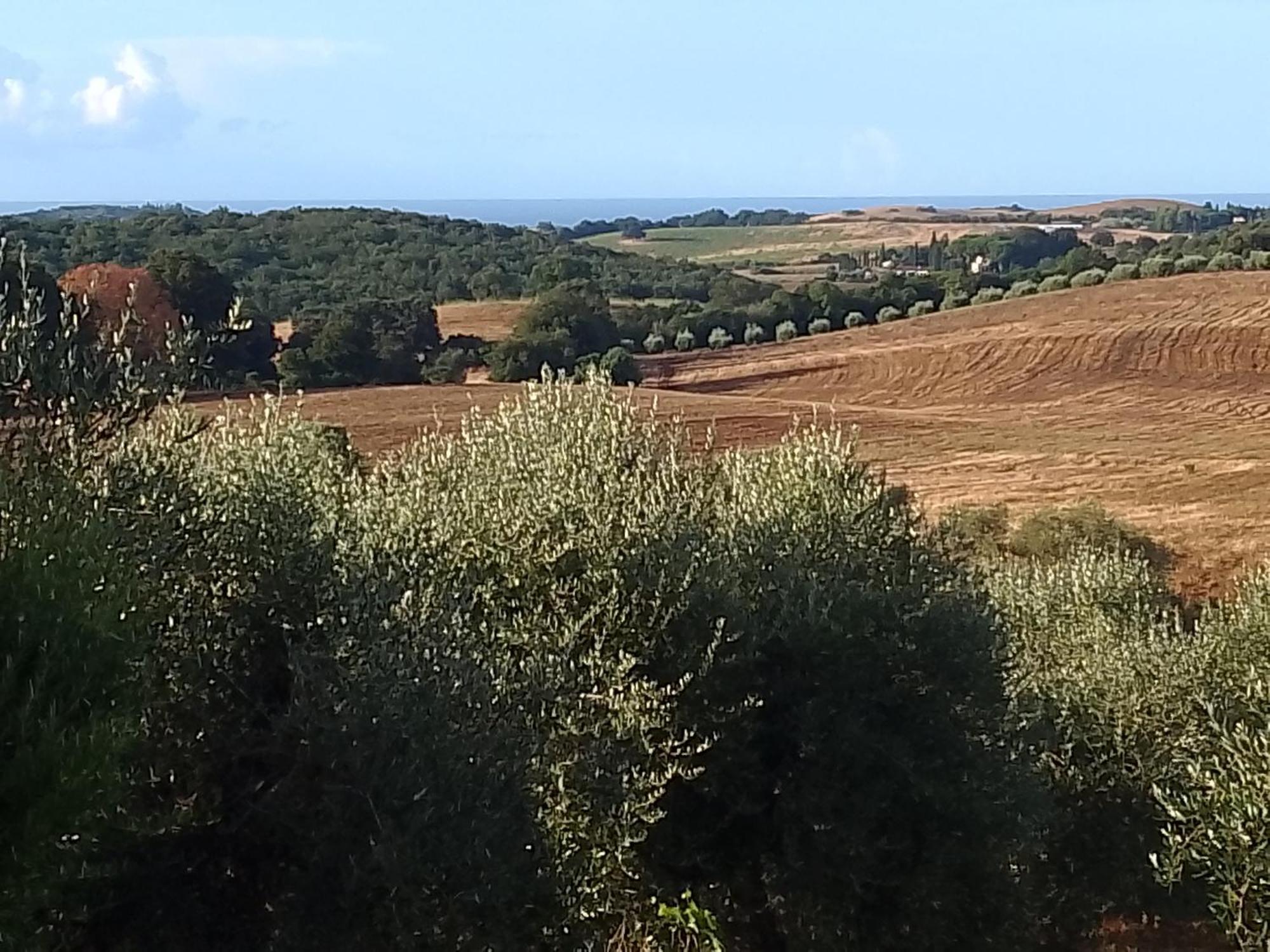Agriturismo Le Colline Di Capalbio Eksteriør bilde