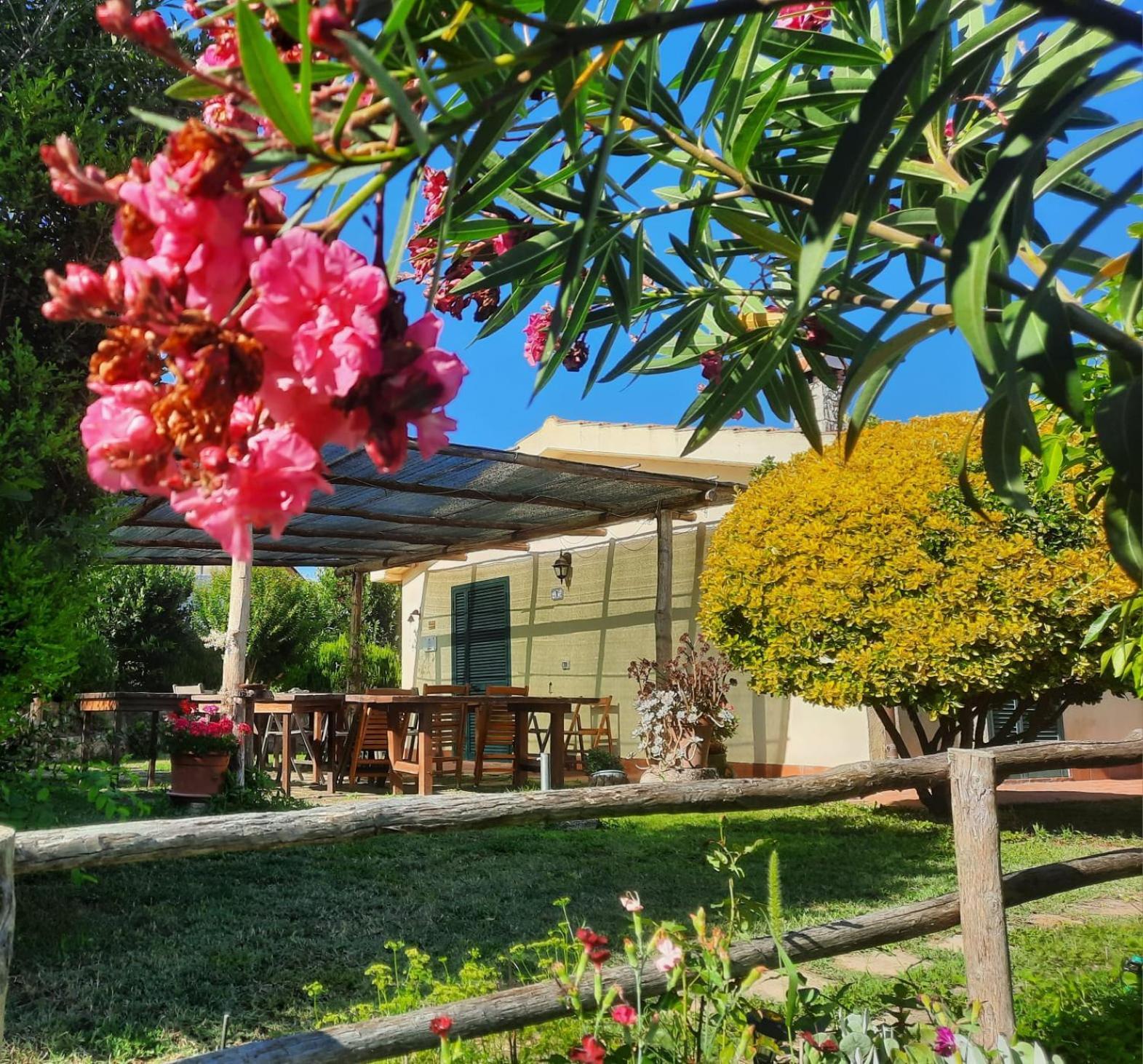 Agriturismo Le Colline Di Capalbio Eksteriør bilde