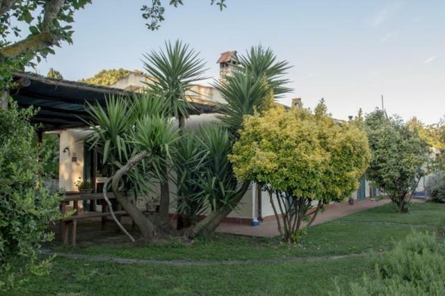 Agriturismo Le Colline Di Capalbio Eksteriør bilde