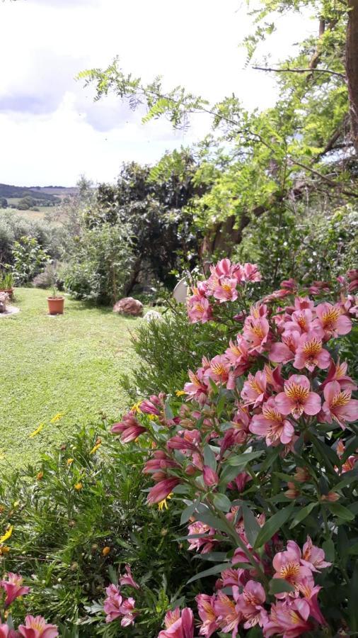 Agriturismo Le Colline Di Capalbio Eksteriør bilde